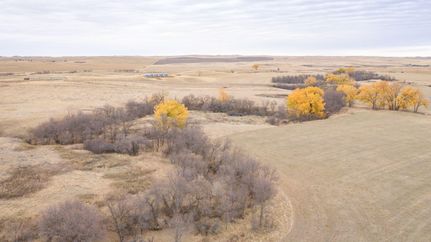 Farm and Ranch in Wibaux County, Montana