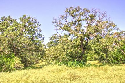 Farm and Ranch in Bastrop County, Texas