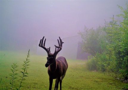 Hunting Property in Steuben County, New York