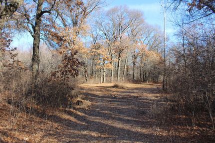 Timberland Property in Sherburne County, Minnesota