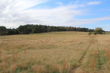 Undeveloped Land in Wake County, North Carolina