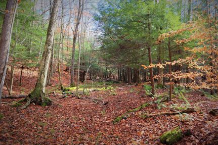 Hunting Property in Cattaraugus County, New York