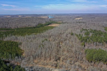 Timberland Property in Livingston County, Kentucky