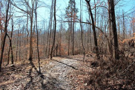 Timberland Property in Estill County, Kentucky