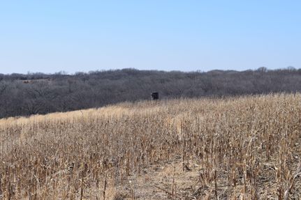 Timberland Property in Clarke County, Iowa