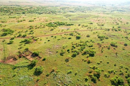 Timberland Property in Beckham County, Oklahoma