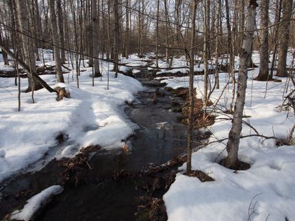 Land in Chenango County, New York