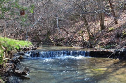 Recreational Property in Morgan County, Kentucky