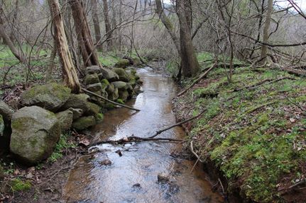 Recreational Property in Page County, Virginia