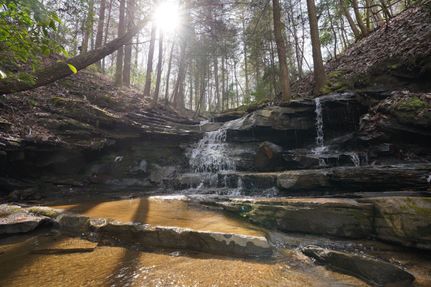 Hunting Property in Marion County, Tennessee