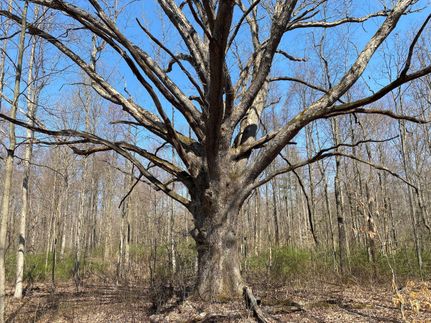 Recreational Property in Crawford County, Pennsylvania