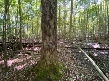 Land in Erie County, Pennsylvania