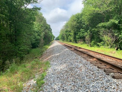 Timberland Property in Wilson County, North Carolina