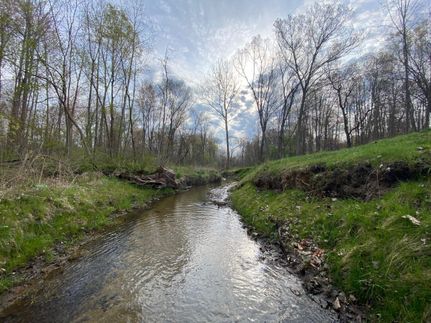 Timberland Property in Wayne County, Michigan