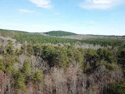 Hunting Property in Rutherford County, North Carolina