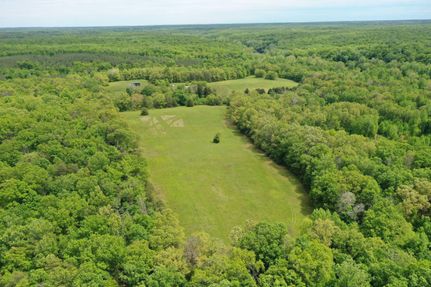 Timberland Property in Culpeper County, Virginia