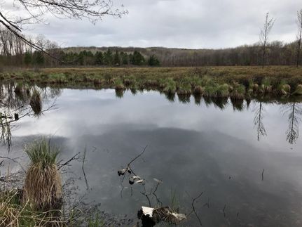 Land in Alcona County, Michigan