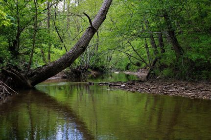Farm and Ranch in Lawrence County, Kentucky