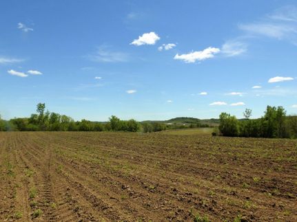 Undeveloped Land in Clayton County, Iowa