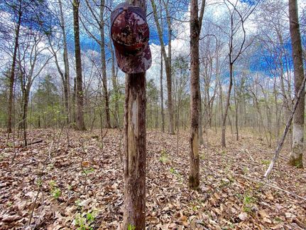 Farm and Ranch in Johnson County, Illinois