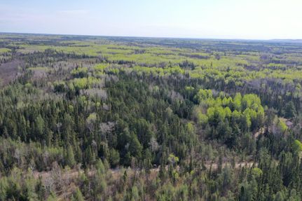 Timberland Property in Saint Louis County, Minnesota