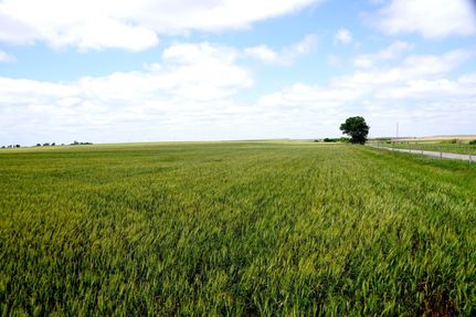 Land in Washita County, Oklahoma