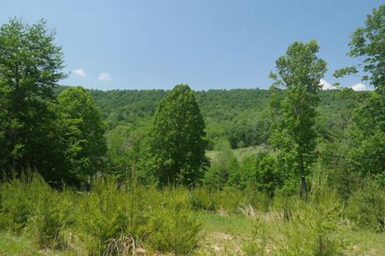 Recreational Property in Wythe County, Virginia