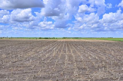 Land in Ellis County, Kansas