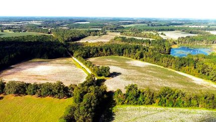 Farm and Ranch in Bulloch County, Georgia