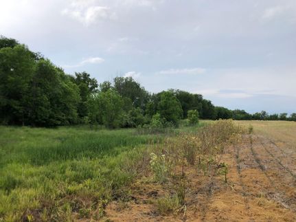 Undeveloped Land in Licking County, Ohio