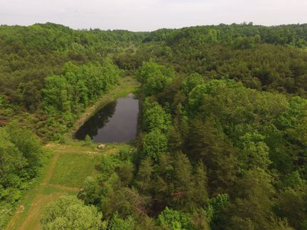 Timberland Property in Greenup County, Kentucky