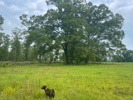 Timberland Property in Franklin County, Mississippi