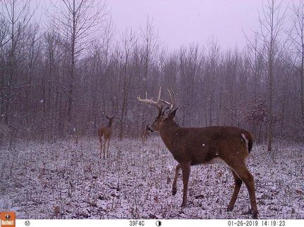 Recreational Property in Lawrence County, Illinois