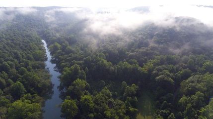 Land in Scott County, Tennessee