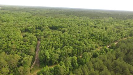 Undeveloped Land in Covington County, Alabama