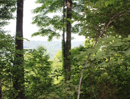 Recreational Property in Tazewell County, Virginia