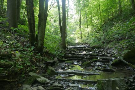 Recreational Property in Washington County, Virginia