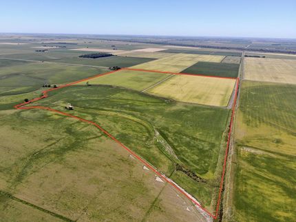 Farm and Ranch in Pemiscot County, Missouri