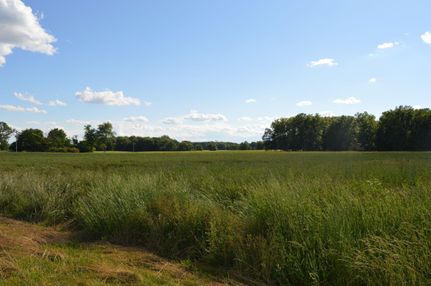 Recreational Property in Williams County, Ohio