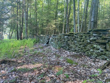 Hunting Property in Wyoming County, Pennsylvania