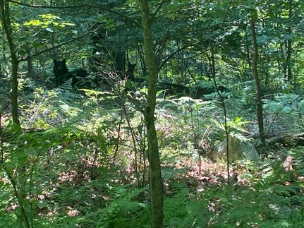 Land in Monroe County, Pennsylvania