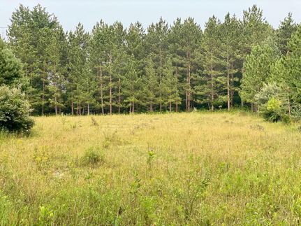 Land in Lapeer County, Michigan