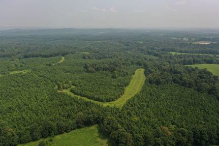 Farm and Ranch in Livingston County, Kentucky