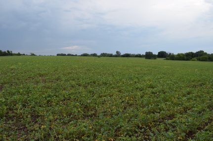 Undeveloped Land in Wayne County, Iowa