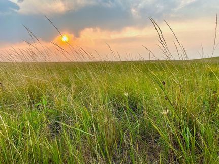 Recreational Property in Cheyenne County, Nebraska