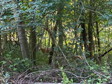 Recreational Property in Armstrong County, Pennsylvania