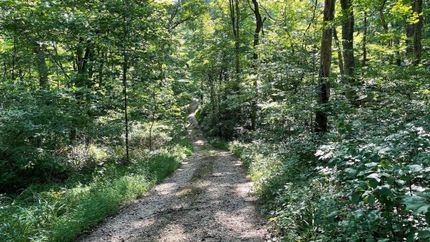 Hunting Property in Orange County, Indiana