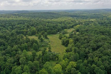 Undeveloped Land in Hardin County, Illinois