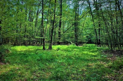 Land in Steuben County, New York