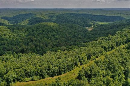 Timberland Property in Lawrence County, Kentucky